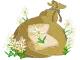 Sac d'Edelweiss