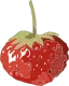 Fraise