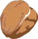 Noix de Pécan